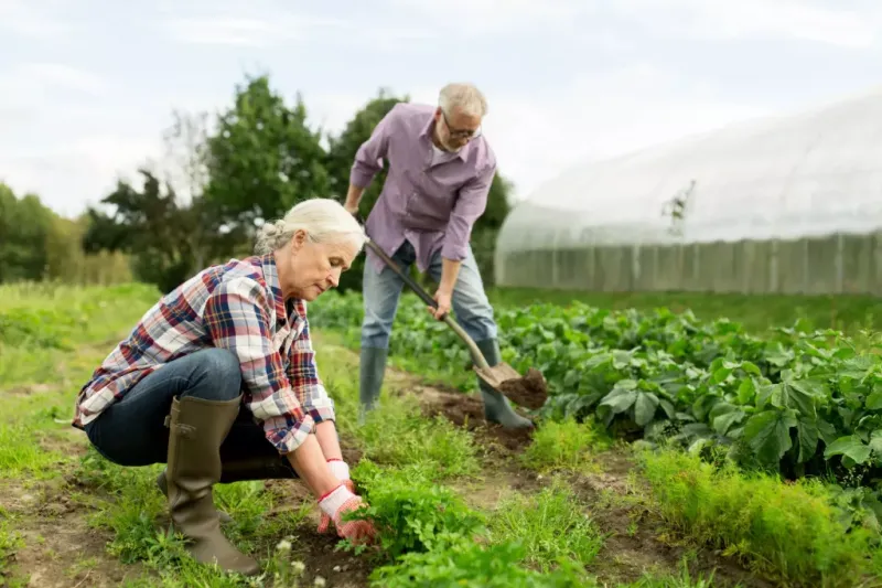 Hip replacement rehabilitation plan at home